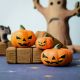 Houten halloween pompoenen set (3-delig), Bumbu toys 22075